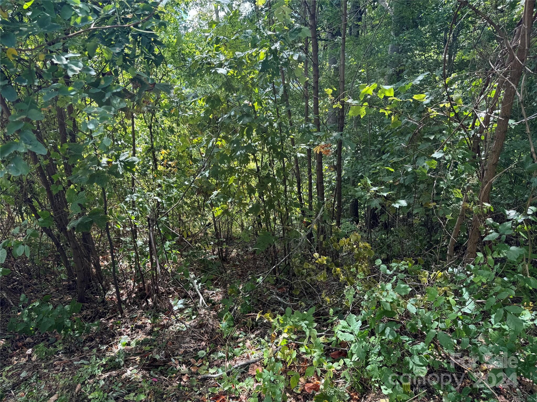 Photo 3 of Lot 12 Austin Mountain Drive