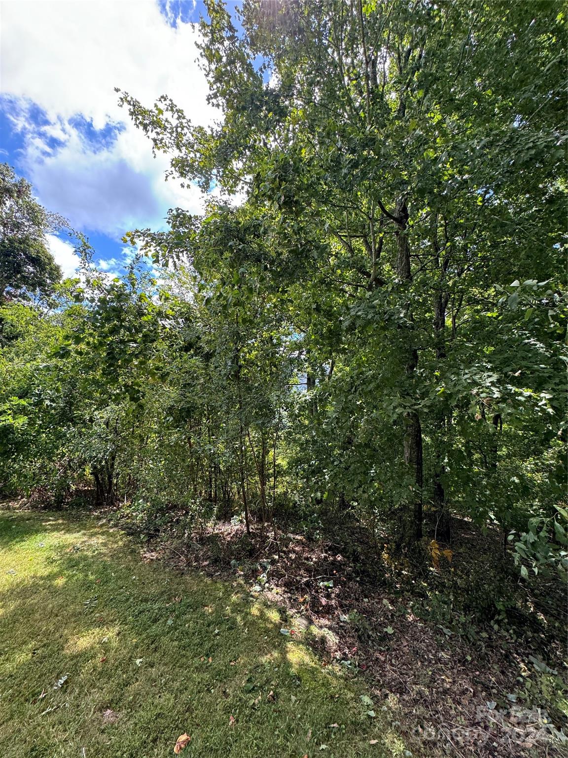 Photo 4 of Lot 12 Austin Mountain Drive