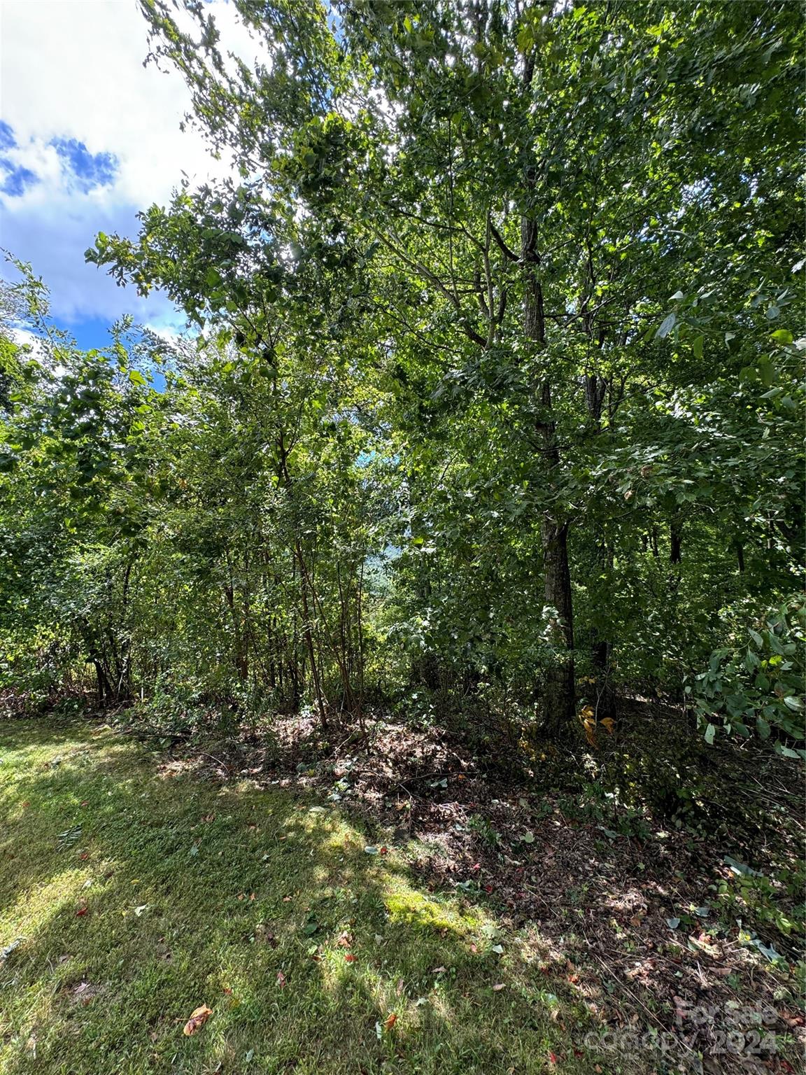 Photo 5 of Lot 12 Austin Mountain Drive