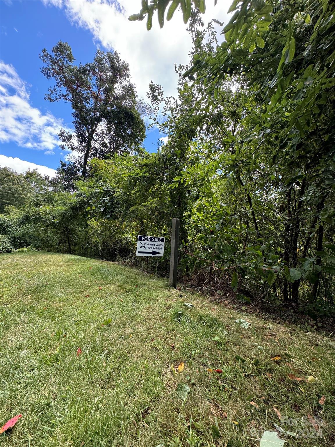 Photo 7 of Lot 12 Austin Mountain Drive