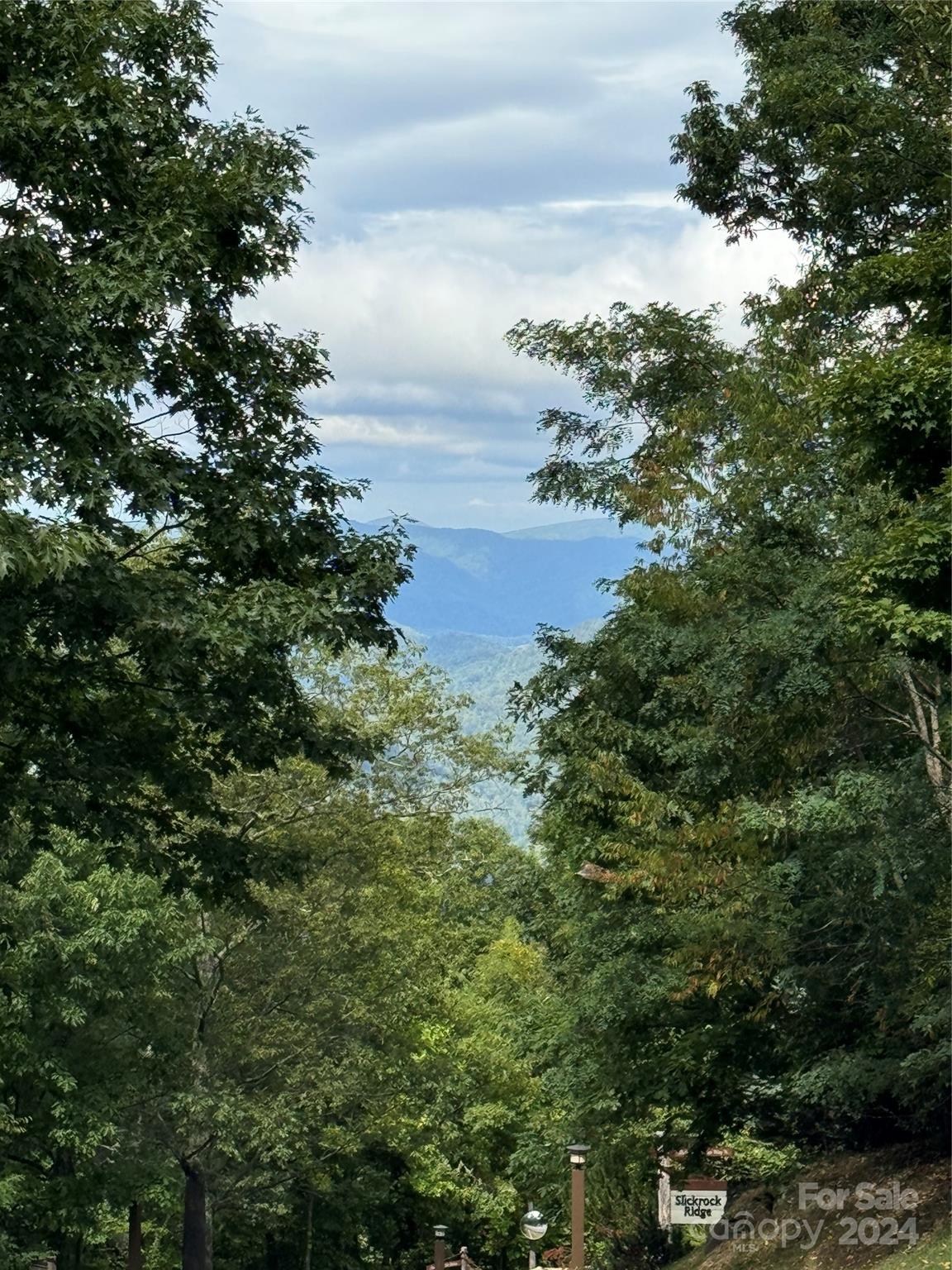 Photo 17 of Lot 12 Austin Mountain Drive